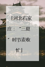 河北石家庄：“三夏”时节麦收忙