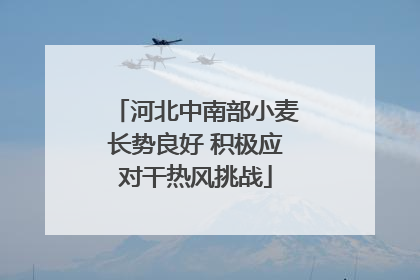 河北中南部小麦长势良好 积极应对干热风挑战