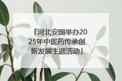 河北安国举办2025年中医药传承创新发展主题活动