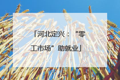 河北定兴：“零工市场”助就业