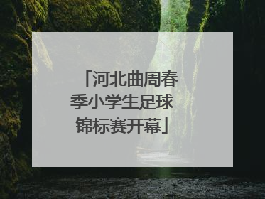 河北曲周春季小学生足球锦标赛开幕