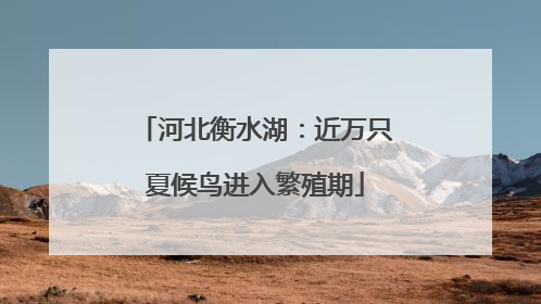 河北衡水湖：近万只夏候鸟进入繁殖期