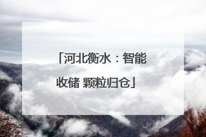 河北衡水：智能收储 颗粒归仓