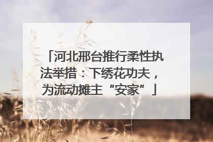 河北邢台推行柔性执法举措：下绣花功夫，为流动摊主“安家”