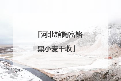 河北馆陶富铬黑小麦丰收