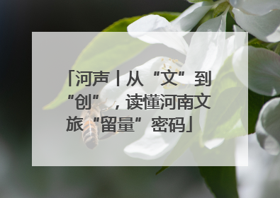 河声丨从“文”到“创”，读懂河南文旅“留量”密码