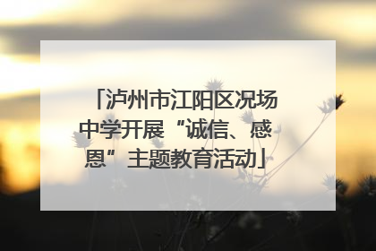泸州市江阳区况场中学开展“诚信、感恩”主题教育活动