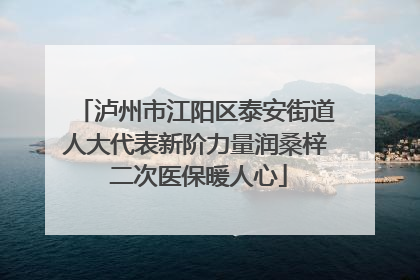 泸州市江阳区泰安街道人大代表新阶力量润桑梓 二次医保暖人心