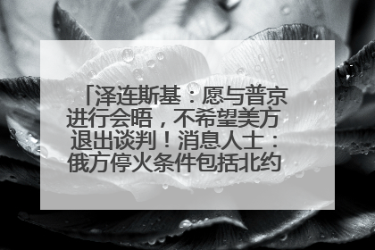 泽连斯基：愿与普京进行会晤，不希望美方退出谈判！消息人士：俄方停火条件包括北约“书面”保证不东扩