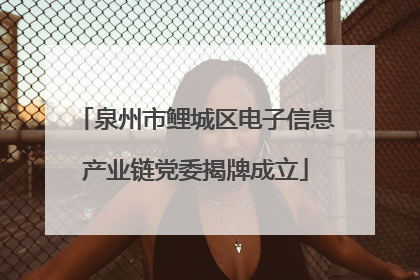 泉州市鲤城区电子信息产业链党委揭牌成立