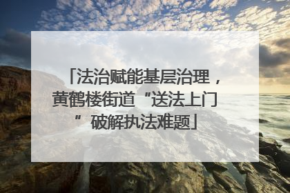 法治赋能基层治理，黄鹤楼街道“送法上门”破解执法难题