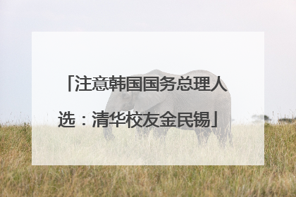 注意韩国国务总理人选：清华校友金民锡