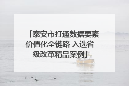 泰安市打通数据要素价值化全链路 入选省级改革精品案例