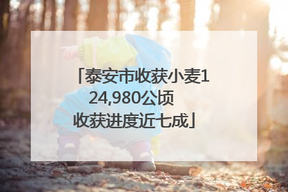 泰安市收获小麦124,980公顷 收获进度近七成
