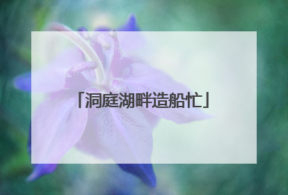 洞庭湖畔造船忙