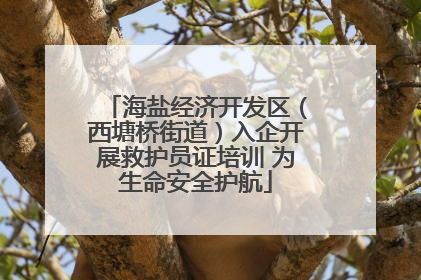 海盐经济开发区（西塘桥街道）入企开展救护员证培训 为生命安全护航