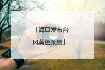 海口发布台风黄色预警