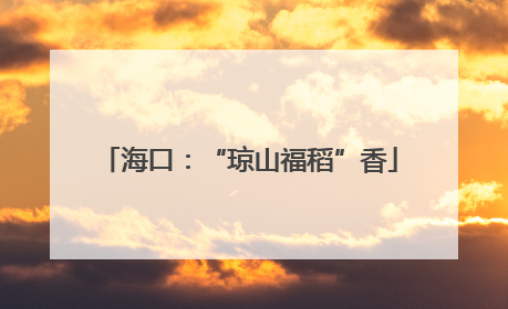 海口：“琼山福稻”香