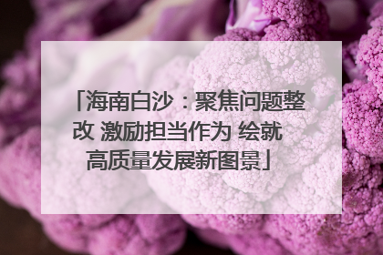 海南白沙：聚焦问题整改 激励担当作为 绘就高质量发展新图景