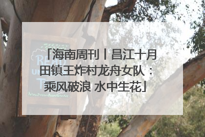海南周刊丨昌江十月田镇王炸村龙舟女队：乘风破浪 水中生花