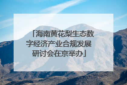 海南黄花梨生态数字经济产业合规发展研讨会在京举办