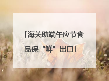 海关助端午应节食品保“鲜”出口