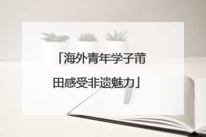 海外青年学子莆田感受非遗魅力