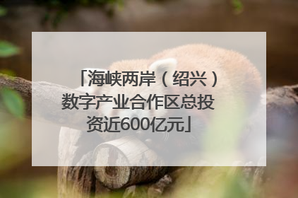 海峡两岸（绍兴）数字产业合作区总投资近600亿元