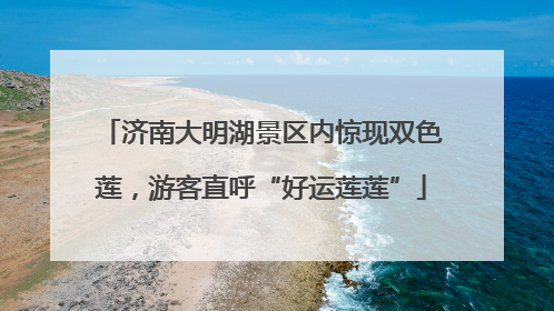 济南大明湖景区内惊现双色莲，游客直呼“好运莲莲”