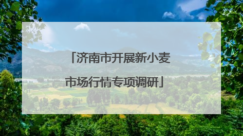 济南市开展新小麦市场行情专项调研