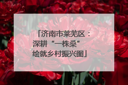 济南市莱芜区：深耕“一株桑” 绘就乡村振兴图