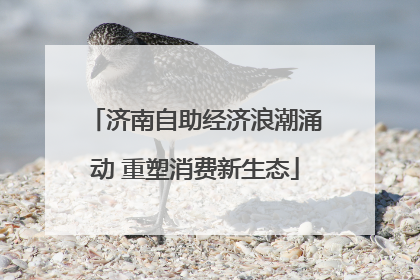 济南自助经济浪潮涌动 重塑消费新生态