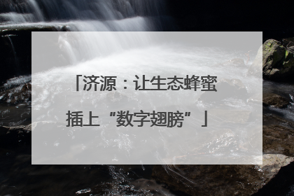 济源：让生态蜂蜜插上“数字翅膀”