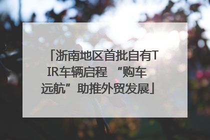 浙南地区首批自有TIR车辆启程 “购车远航”助推外贸发展