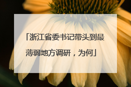 浙江省委书记带头到最薄弱地方调研，为何