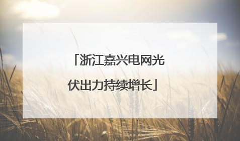 浙江嘉兴电网光伏出力持续增长