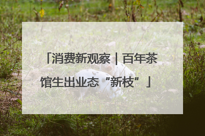 消费新观察｜百年茶馆生出业态“新枝”