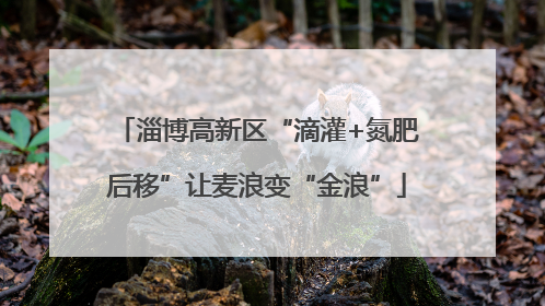 淄博高新区“滴灌+氮肥后移”让麦浪变“金浪”