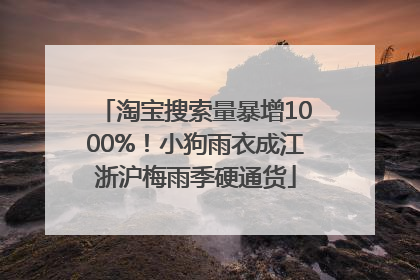 淘宝搜索量暴增1000%！小狗雨衣成江浙沪梅雨季硬通货