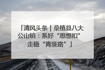 清风头条｜桑植县八大公山镇：系好“思想扣” 走稳“青廉路”
