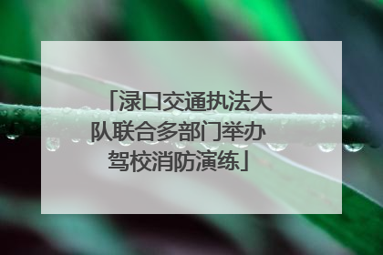 渌口交通执法大队联合多部门举办驾校消防演练