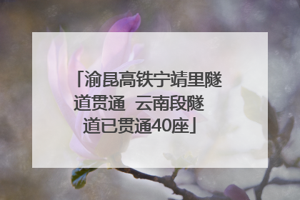 渝昆高铁宁靖里隧道贯通  云南段隧道已贯通40座