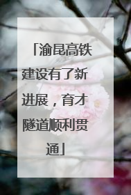 渝昆高铁建设有了新进展，育才隧道顺利贯通