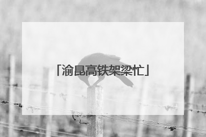 渝昆高铁架梁忙