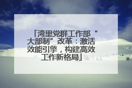湾里党群工作部“大部制”改革：激活效能引擎，构建高效工作新格局