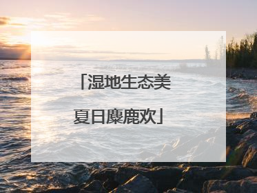湿地生态美 夏日麋鹿欢