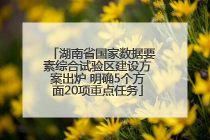 湖南省国家数据要素综合试验区建设方案出炉 明确5个方面20项重点任务