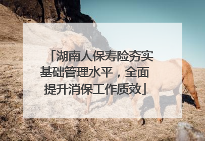 湖南人保寿险夯实基础管理水平，全面提升消保工作质效