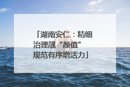 湖南安仁：精细治理靓“颜值” 规范有序增活力