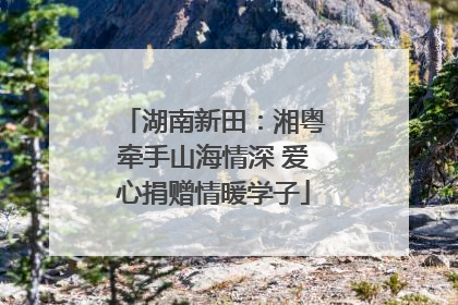 湖南新田：湘粤牵手山海情深 爱心捐赠情暖学子